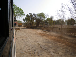 インド・ライプール発アラハバード行長距離バス