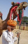 インド、携帯電話で話しながらラクダをひくふざけたラクダ遣い