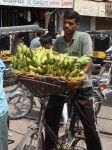 インドのバナナ屋