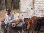 インド、チャールパイに座る老人