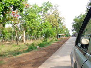 インド、ジャグダルプル郊外の道