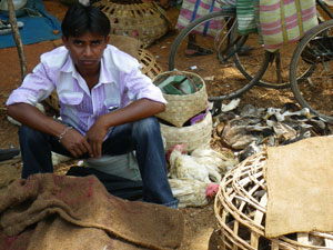 インド、ジャグダルプルの市場