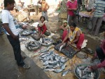 インド、ジュナーガルの市場