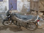 インド、羽毛バイク